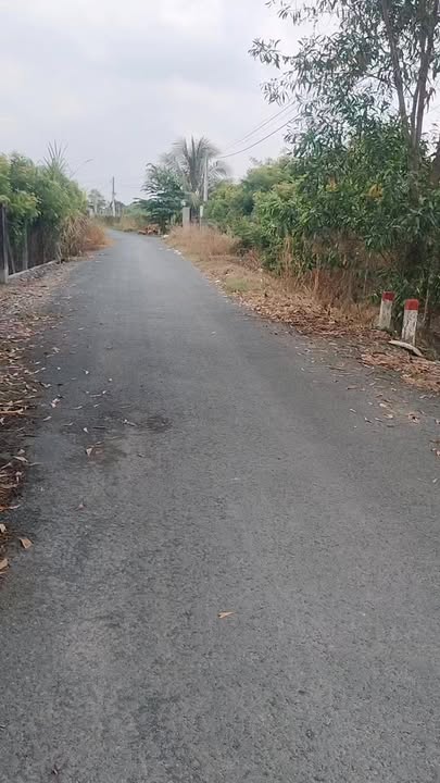 Bán Đất Cẩm Giang, Gò Dầu, Tây Ninh - 450m², Sổ Đỏ Vuông Vắn