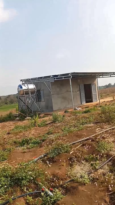 Đất nền Chư Pưh Gia Lai 2ha - Sổ đỏ chính chủ!