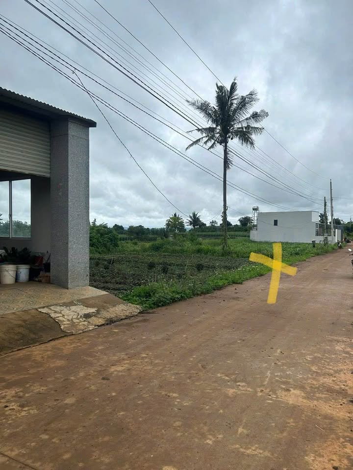 Đất Nền Đức Trọng - Lâm Đồng: 230m² Thổ Cư, Hạ Giá Sốc 100 Triệu