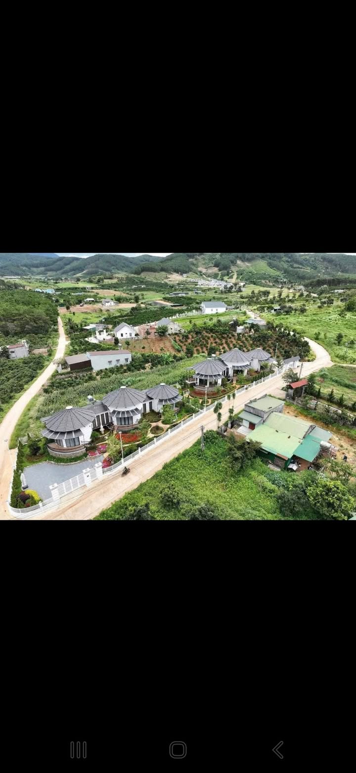 Đất nền Gia Lâm 320m² - Giá F0 CĐT, tiềm năng sinh lời!