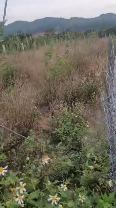 Nhà 218m² full thổ cư Xã Mê Linh, Lâm Hà - Sổ hồng sẵn, giá 1.1 tỷ