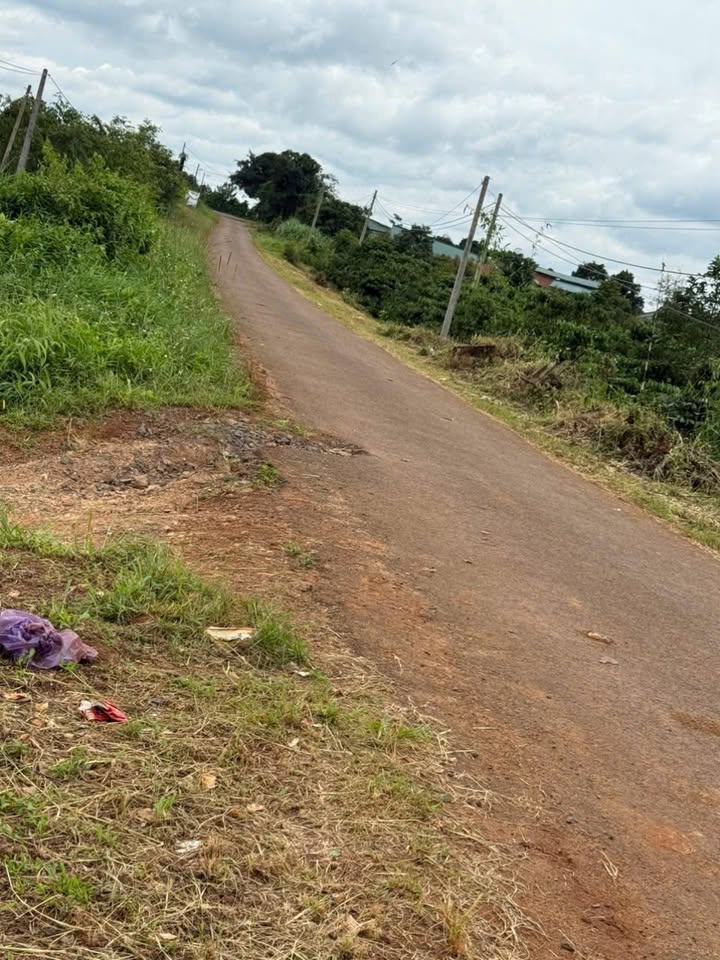 Đất rẫy 2.9ha Đắk Lắk - Sầu riêng xen cà phê, mặt tiền nhựa 32m