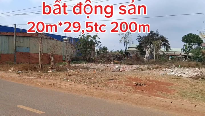 Đất nền Tuy An, Phú Yên 590m² - Sổ đỏ chính chủ, xây dựng tự do!