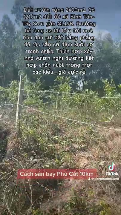 Đất vườn Bình Tân Tây Sơn 2000m² 520 triệu - Sổ đỏ chính chủ