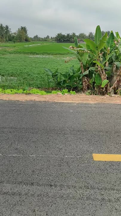 Đất Nền 98m² Tỉnh Lộ 524, Nga Sơn - Đầu Tư Sinh Lời