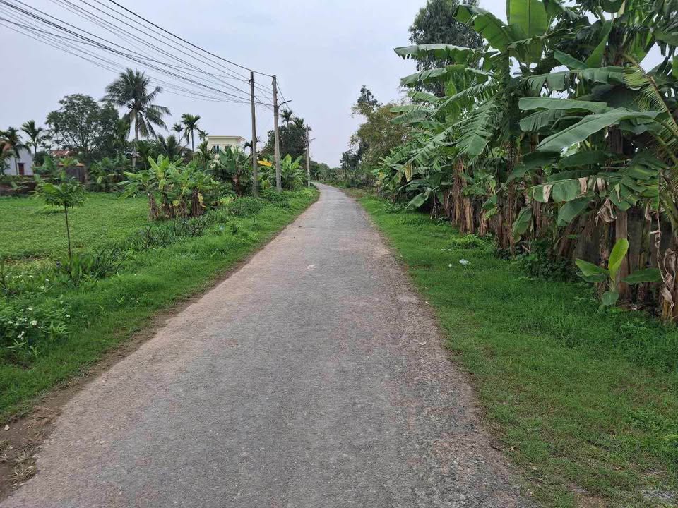 Đất nền Thuần Thành, Thái Thụy 150m² - Đất thổ cư 100%!