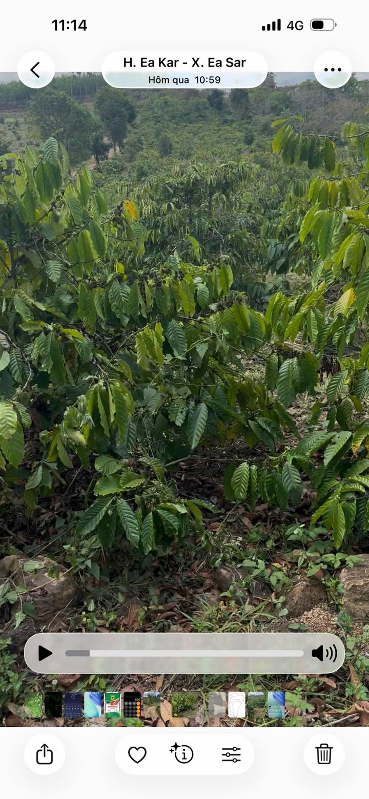 Đất vườn Ea Kar Đắk Lắk 1ha giá 2 tỷ - Giá đầu tư tốt!