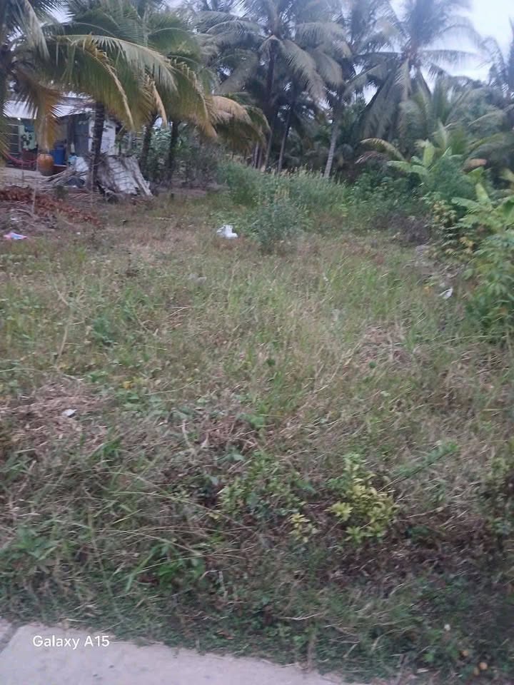 Đất nền Tân Thạnh Long Phú 240m² giá 300 triệu - Tiềm năng tăng giá!