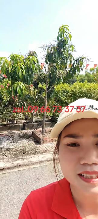 Nhà riêng Tân Phong Biên Hòa 75m² - Ô tô vào tận nhà, sổ hồng sẵn!