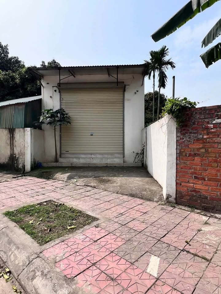 Đất Tô Hiến Thành Vĩnh Yên 100m² giá 3 tỷ xx - Sổ đỏ chính chủ!