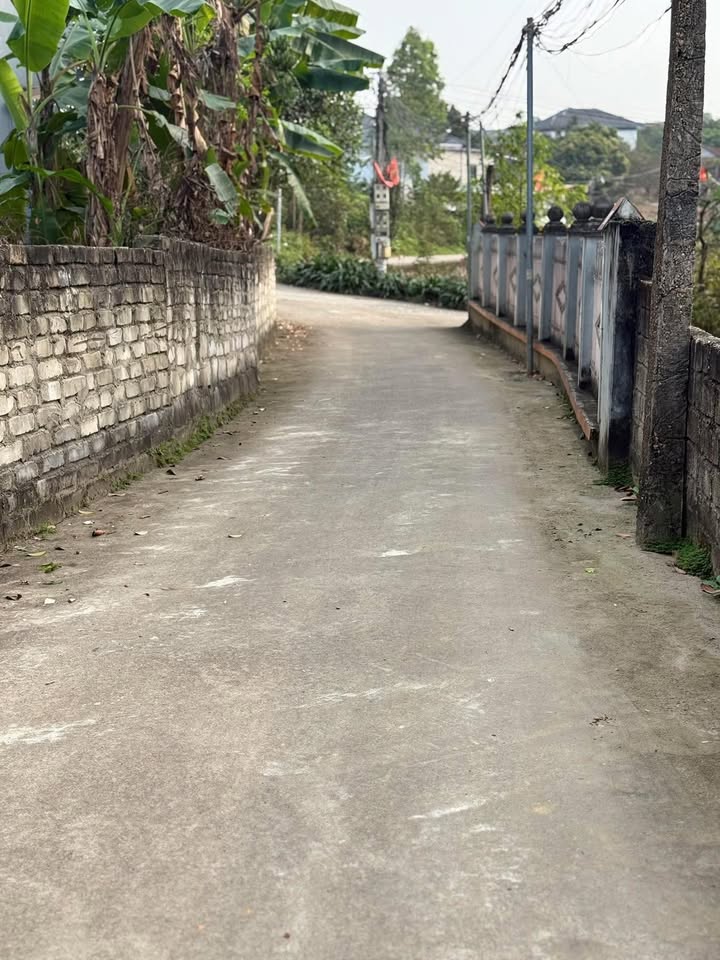 Bán đất Thanh Đình, Việt Trì 93m² - Sổ đỏ thổ cư, đường ô tô