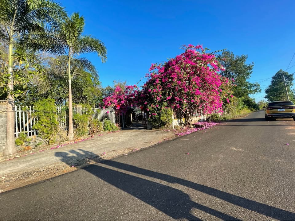 Đất nền Châu Đức 189m² giá 650 triệu - Sổ đỏ chính chủ!