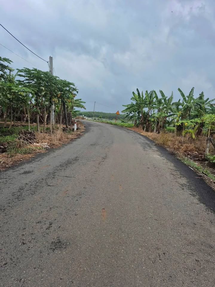 Đất nền Nghĩa Thành, Châu Đức 180m² - Sổ hồng sẵn, Giá đầu tư tốt!