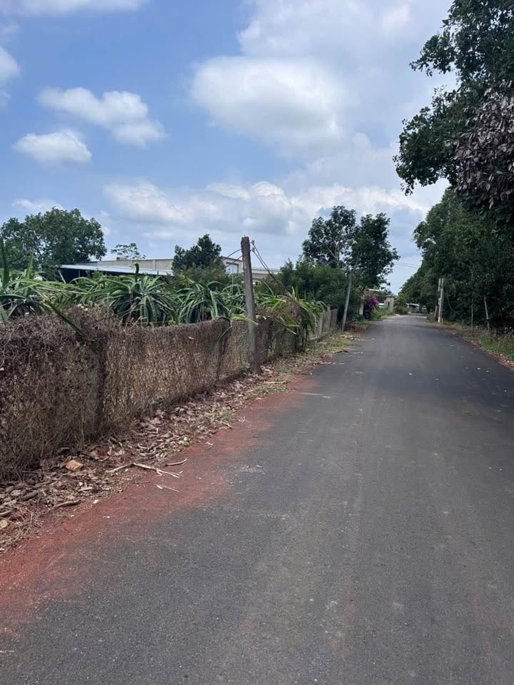 Đất nền Xuyên Mộc 379m² 1.35 tỷ - Sổ đỏ chính chủ, tiềm năng tăng giá!