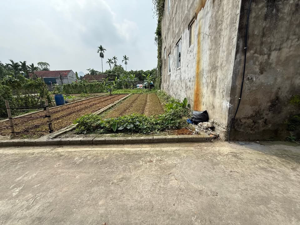 Bán đất thổ cư 60m² Mỹ Đức - Sổ đỏ chính chủ, ô tô vào tận nhà