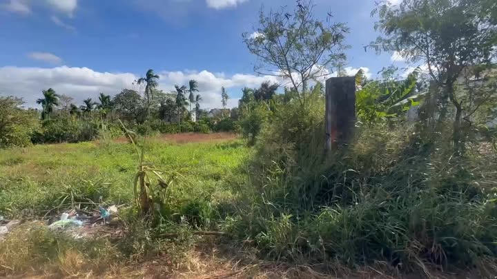 Mặt Tiền Kinh Doanh Ea Tiêu, Đắk Lắk - 125m² Giá 375 Triệu