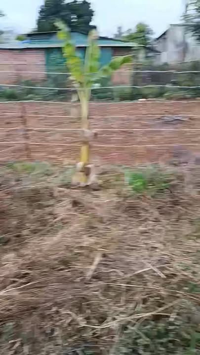 Đất Nền Đức Trọng 324m² Sổ Đỏ - Giá Đầu Tư 1.35 Tỷ