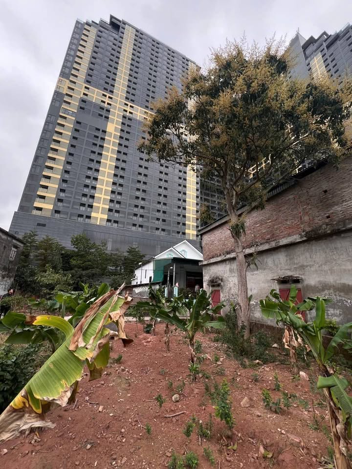 Đất nền 176m² full thổ cư, mặt tiền 7.4m nở hậu gần Wyndham Ace, Phú Thọ