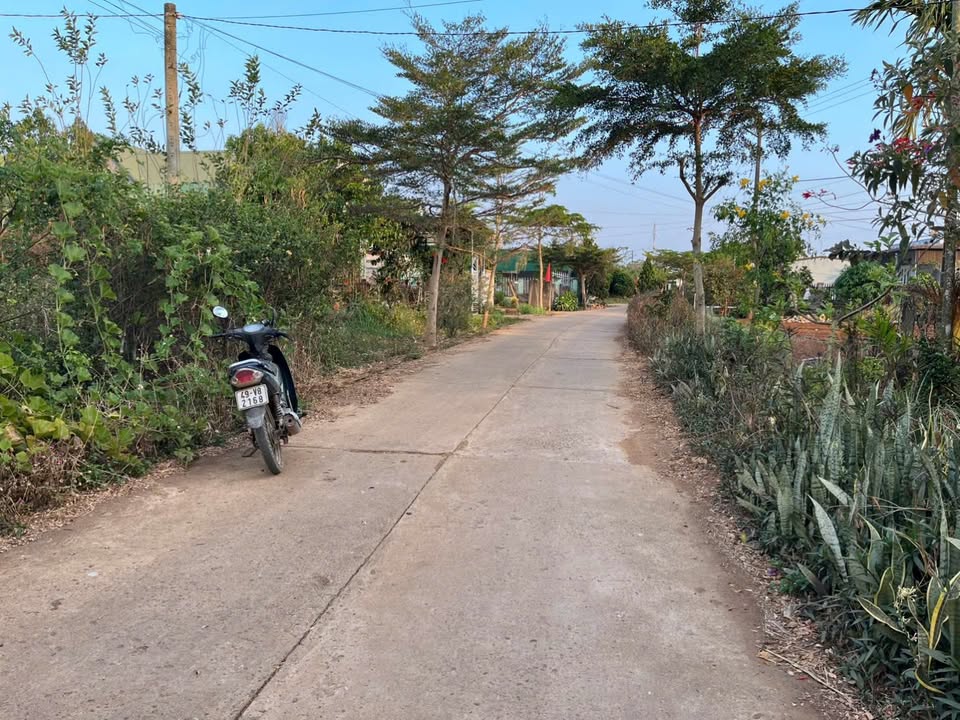 Đất nền Tân Thành, Đức Trọng 600m² - Sổ đỏ chính chủ