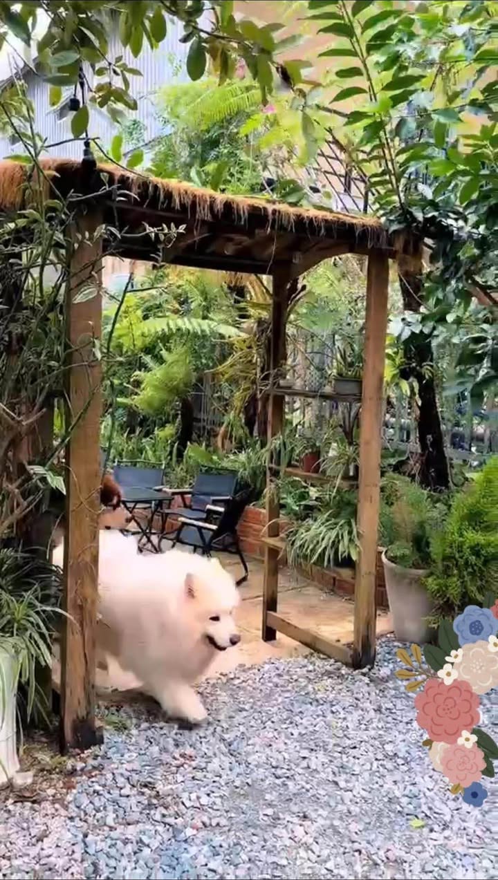 Khu Cafe - Camping Đà Lạt 600m² - Vị trí "siêu chill", kinh doanh ngay!