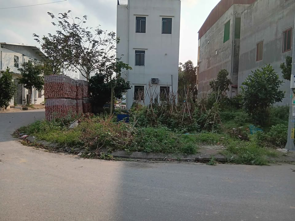 Đất Lô Góc Kinh Doanh Võ Cường, Bắc Ninh 81.6m² - Cơ Hội Vàng