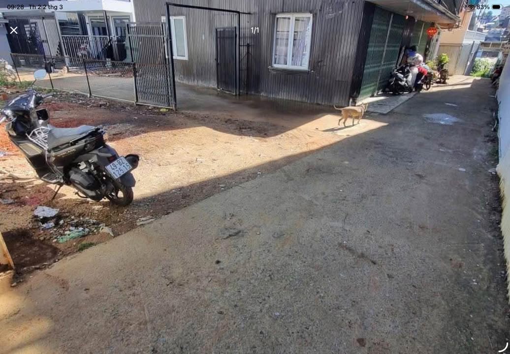 Đất nền Cao Thắng Đà Lạt 100m² - Đường ô tô tận nơi!