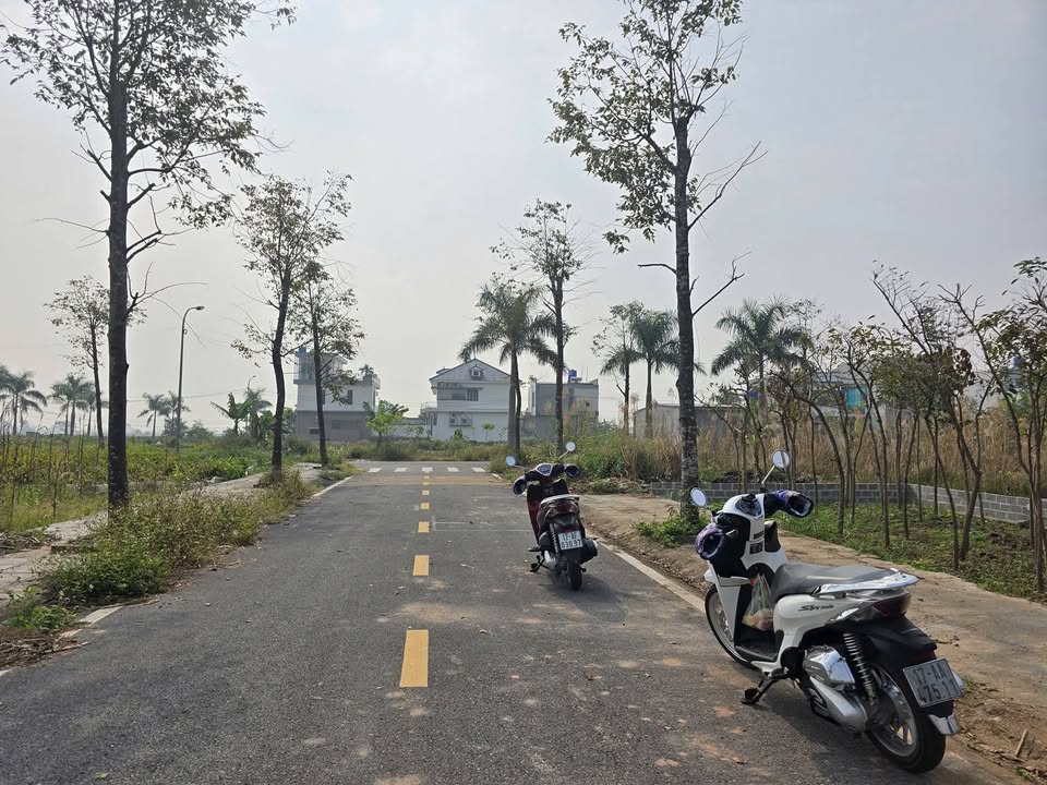 Bán Đất Biệt Thự 275m² Hưng Hà, Thái Bình - Sổ Đỏ Sẵn Sàng