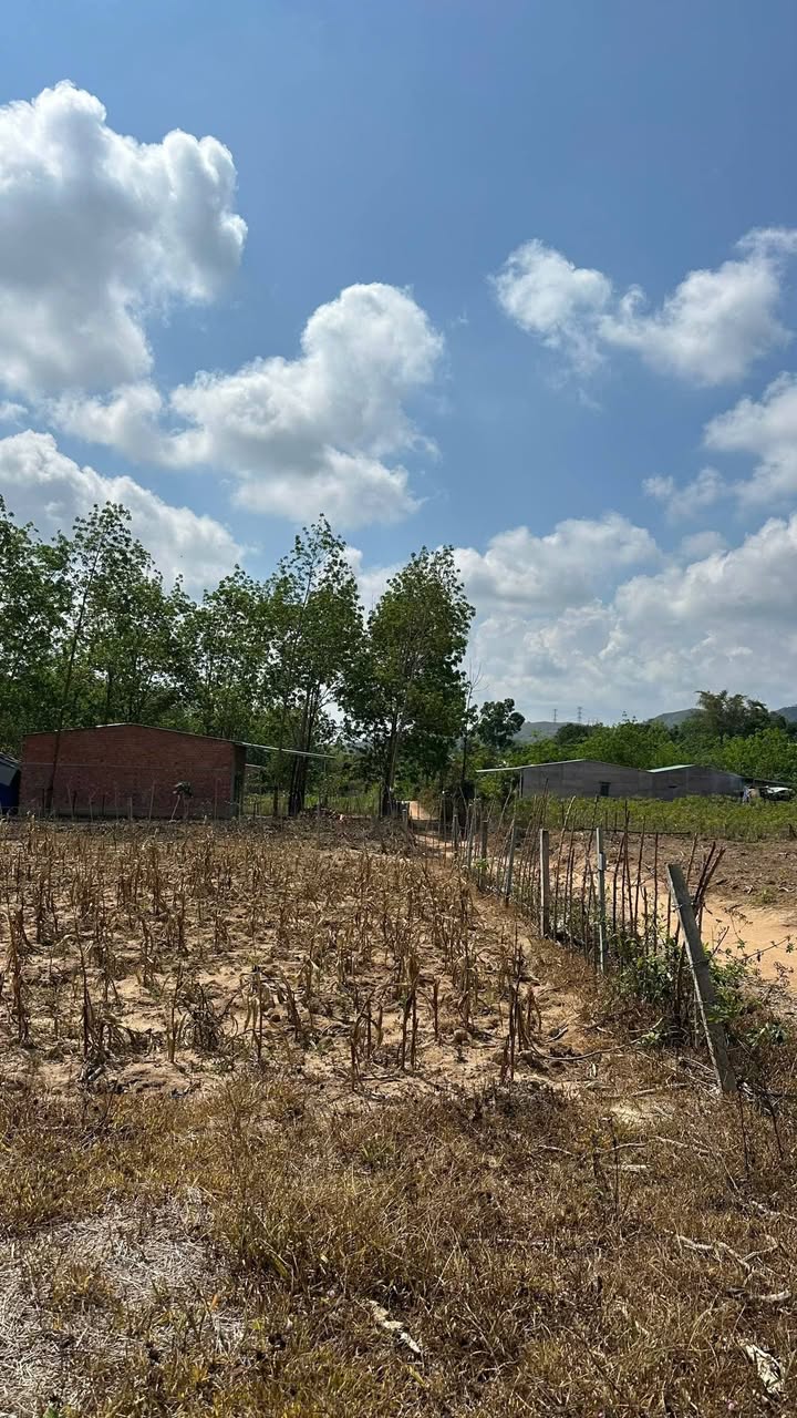 Đất nền Kon Rẫy 792m² giá 300 triệu - Xây dựng tự do!