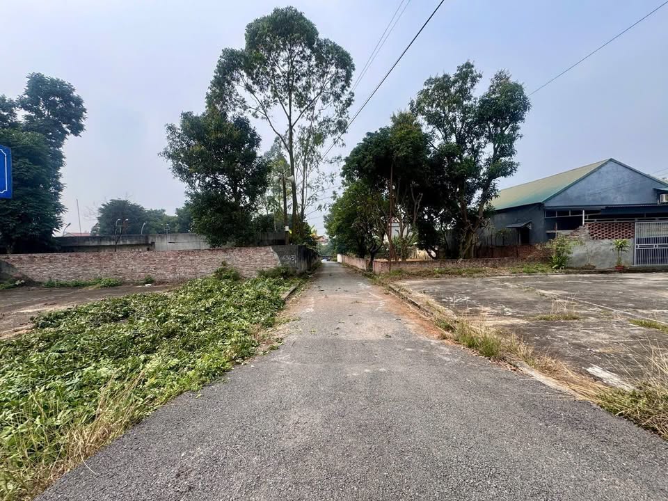 Đất nền Hùng Sơn, Lâm Thao 90m² giá 900 triệu - Tiềm năng tăng giá cực cao!