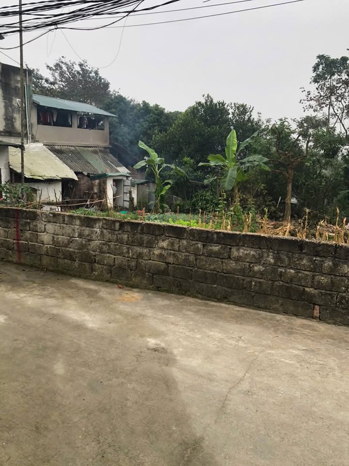 Đất nền Việt Trì 105m² - Sổ đỏ chính chủ, đường ô tô thông thoáng!