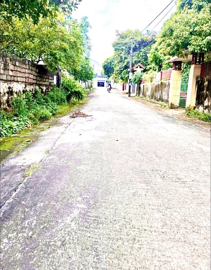 Đất nền Đông Sơn Tam Điệp 110m² giá 900 triệu - Đường to ô tô tận cửa!