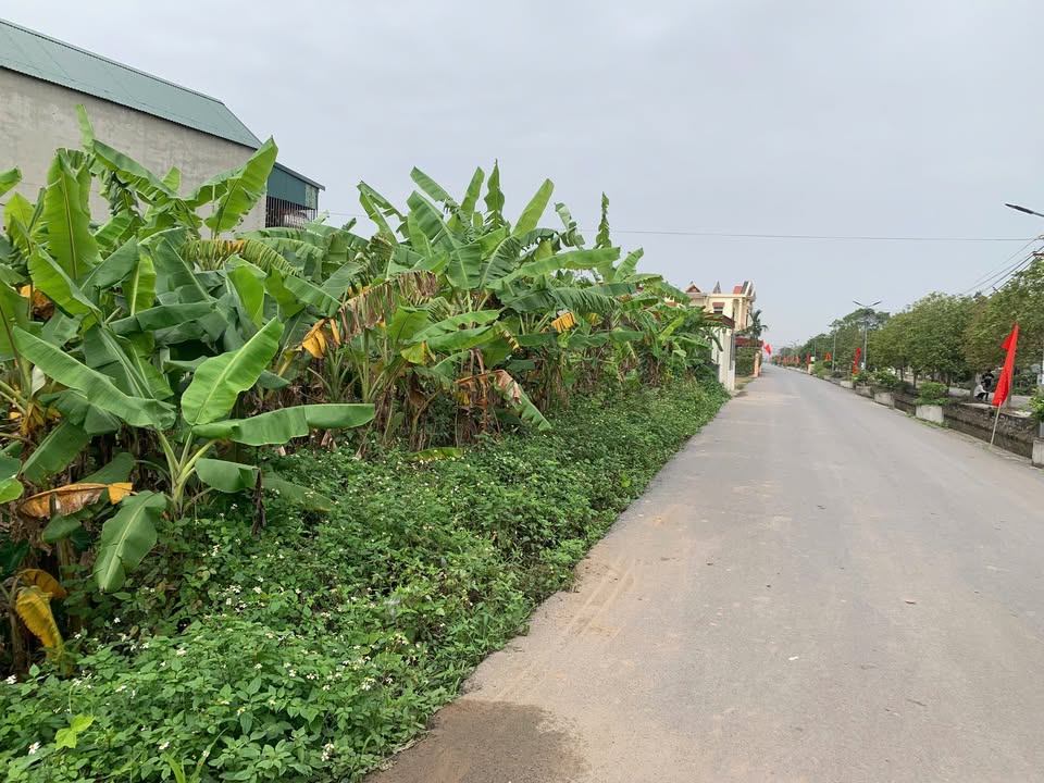 Đất Nền Kim Sơn 360m² - Mặt Tiền Đôi, View Sông, Giá 4 Tỷ