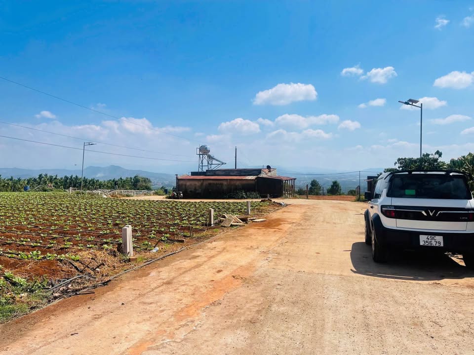 Đất Nền Lô Góc Ven Đà Lạt 260m² Giá 470 Triệu - Sổ Sẵn