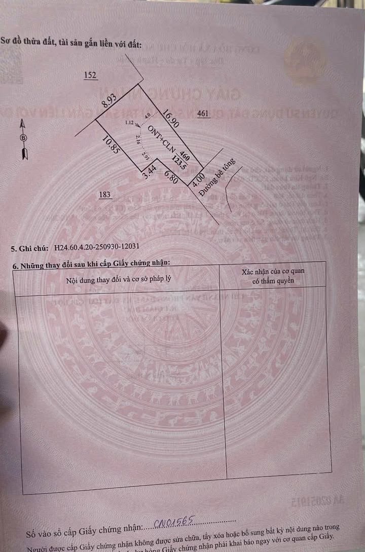 Đất nền Xã Đoàn Thượng, Gia Lộc 123m² - Tiềm năng tăng giá vượt trội!