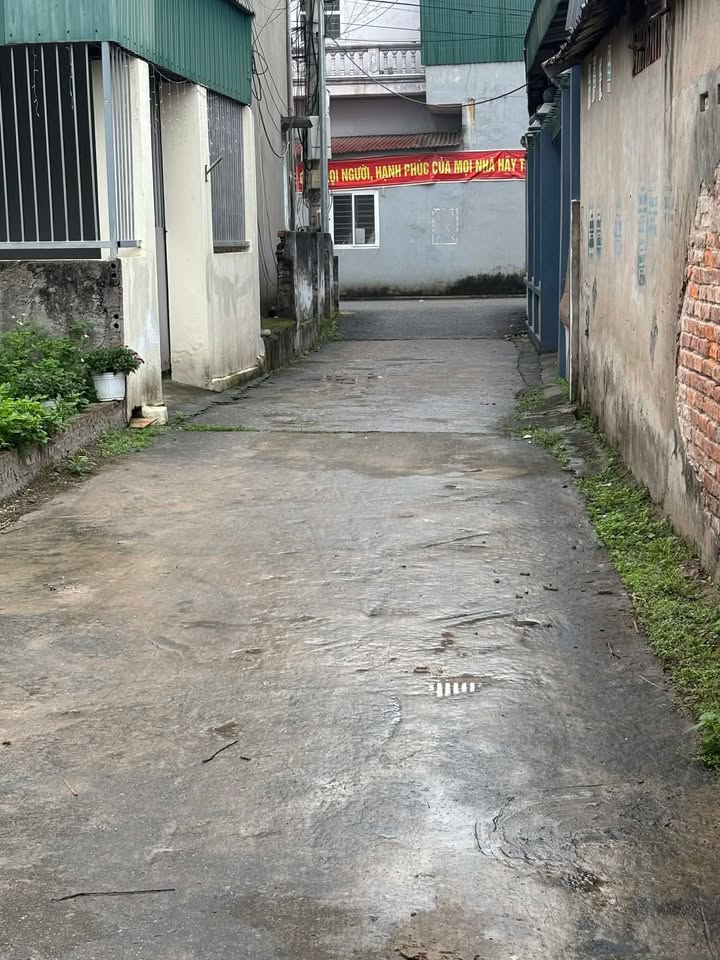 Đất nền 92m² sổ đỏ chính chủ, đường ô tô vào tận đất tại Việt Hòa, Hải Phòng