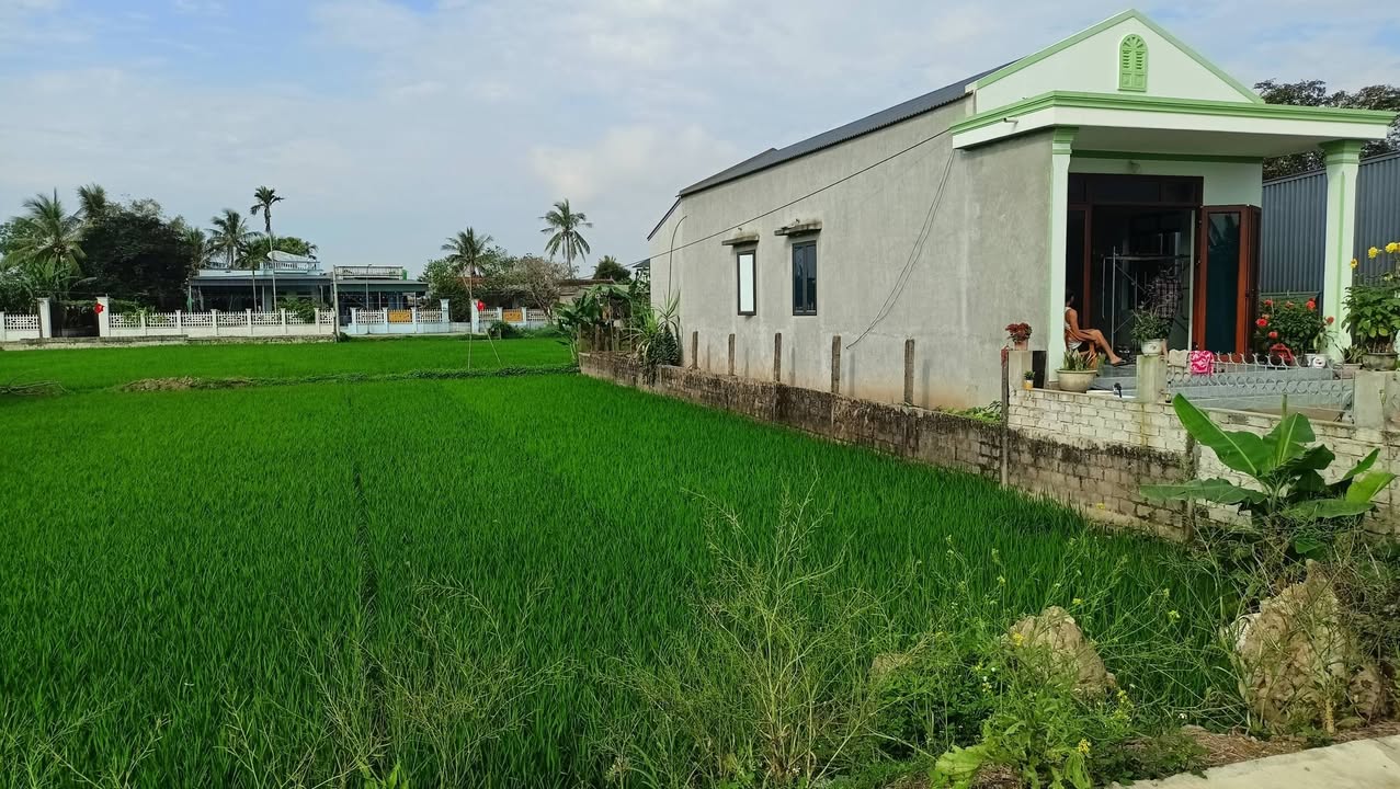 Đất nền Quảng Hòa 125m² - Sổ đỏ chính chủ, giá 1 tỷ!