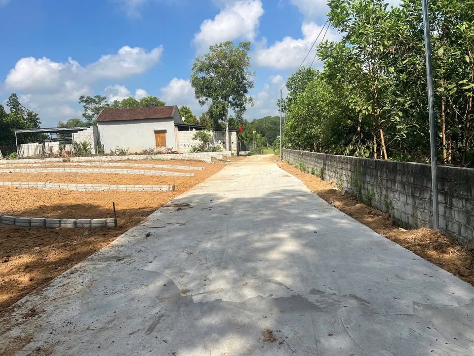 Đất nền Hợp Tiến, Triệu Sơn 140m² - Sổ đỏ chính chủ, giá chỉ từ 2xx triệu!