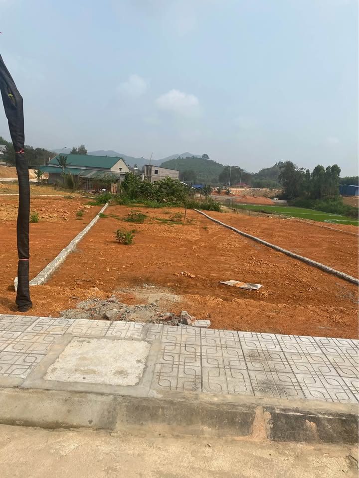 Đất nền KDC 24 Kim Phú Mỹ Lâm 100m² giá 700 triệu - Sổ đỏ chính chủ