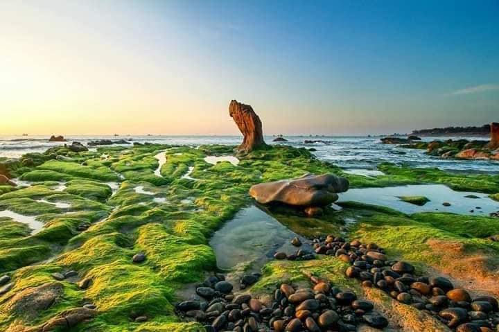 Đất Nền Mặt Tiền Khu Du Lịch Cổ Thạch 300m² - Sẵn Sàng Xây Khách Sạn, Homestay