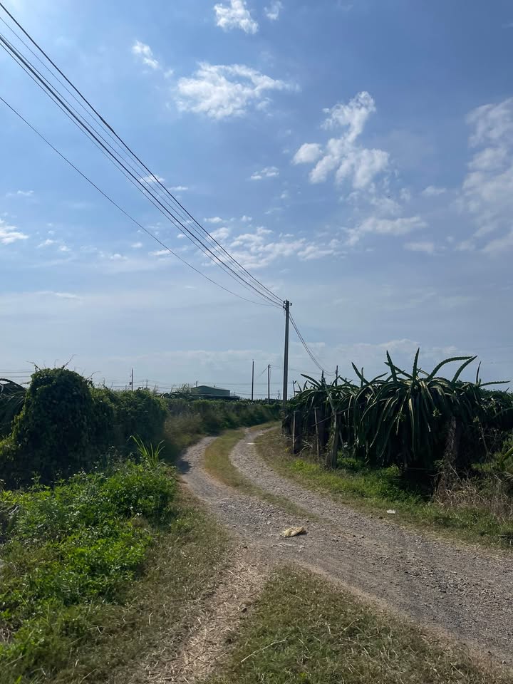 Đất thổ cư Hàm Hiệp 125m² - Sẵn sổ, ô tô vào tận nơi