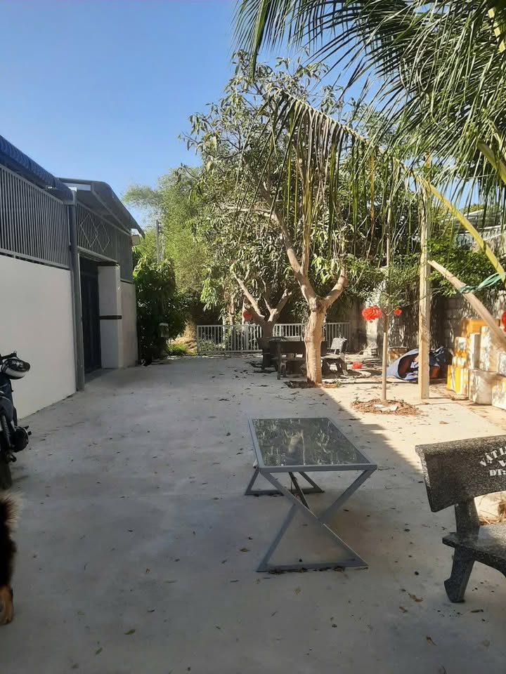 Đất Thổ Cư Phan Thiết 270m² Đường Ngô Đức Tốn - Tiềm năng tăng giá