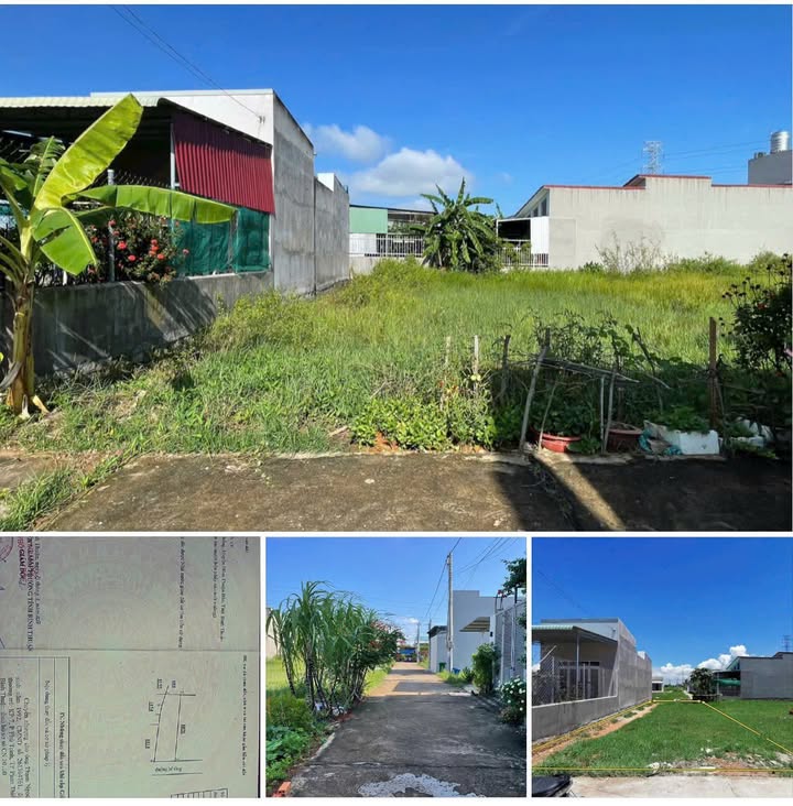 Bán Đất Thổ Cư Hàm Thắng 124m² - Mặt Tiền Đường 5m