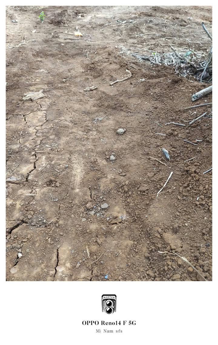 Đất Vườn Ea Sin Krông Búk 1ha - Sổ Hồng Sẵn - Giá Đầu Tư Tốt!