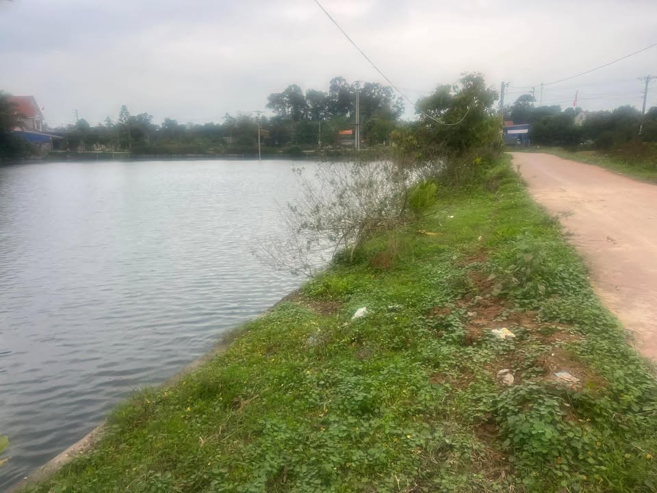 Đất Nền Phổ Yên, Thái Nguyên 217m² Mặt Tiền 12m View Hồ - Giá 1 Tỷ