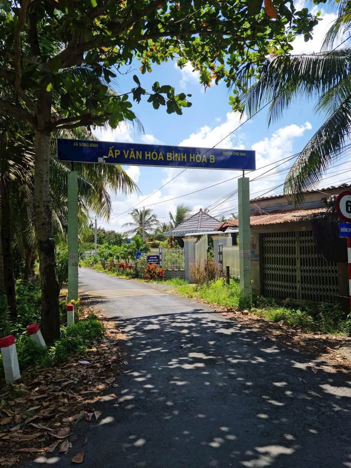 Đất vườn Chợ Gạo Tiền Giang 1000m² giá 1.2 tỷ - Đầu tư sinh lời