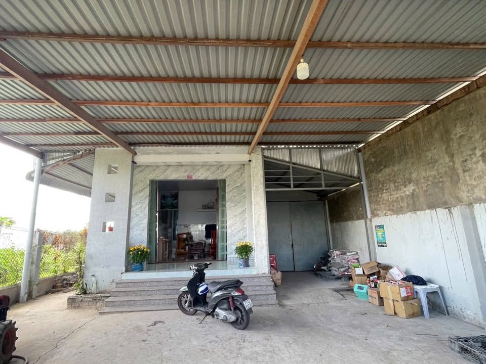 Đất Mặt Tiền QL 57B Bình Đại 11.000m² - Giá tốt hiếm có