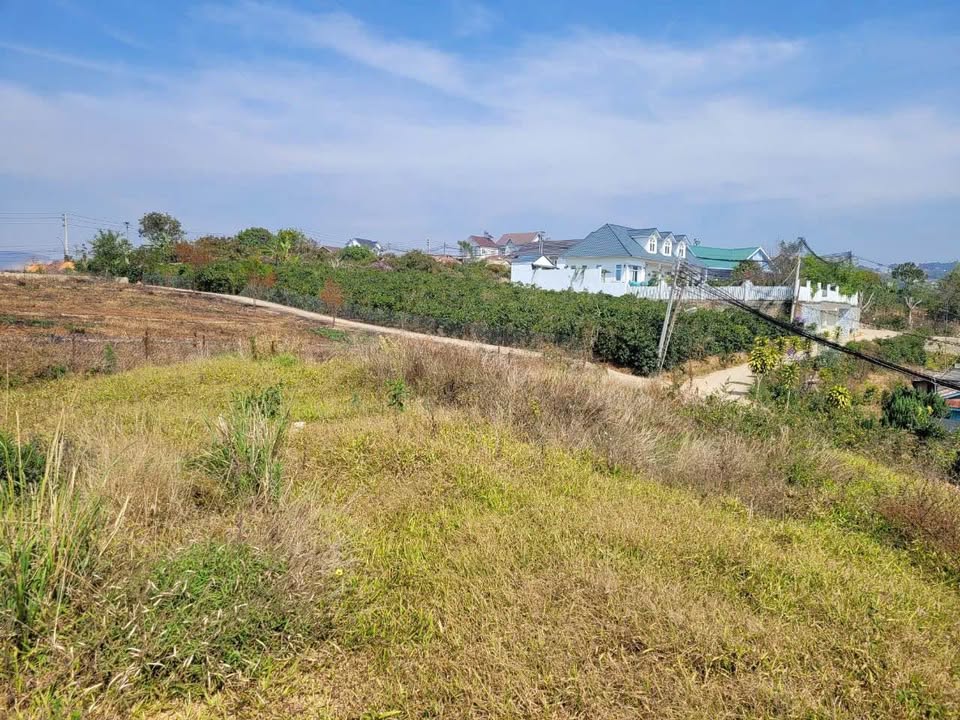 Đất nền Xuân Thọ Đà Lạt 523m² giá 6.5 tỷ - Tiềm năng tăng giá!