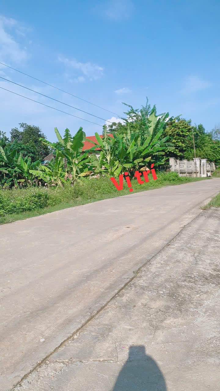 Đất nền Triệu Sơn 103m² - Đất thổ cư 100%, giá 400 triệu!