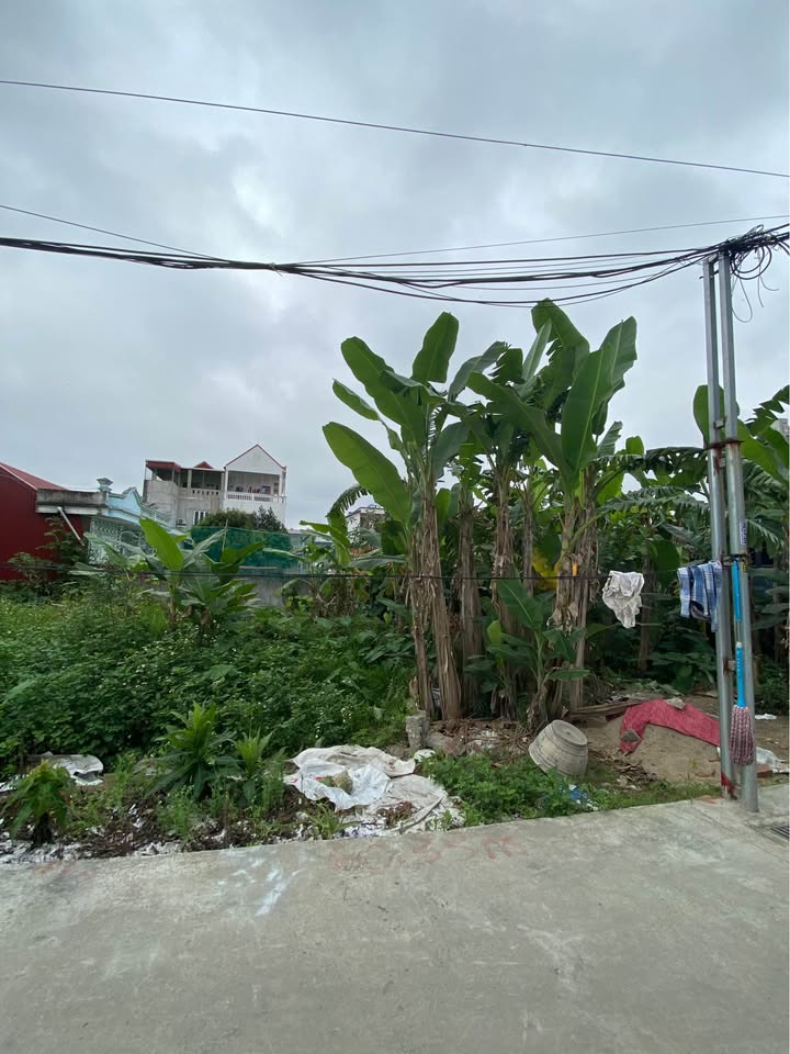 Đất Nở Hậu 60m² Trần Phương, Kiến An - Giá 1.33 Tỷ, Sẵn Sổ Hồng