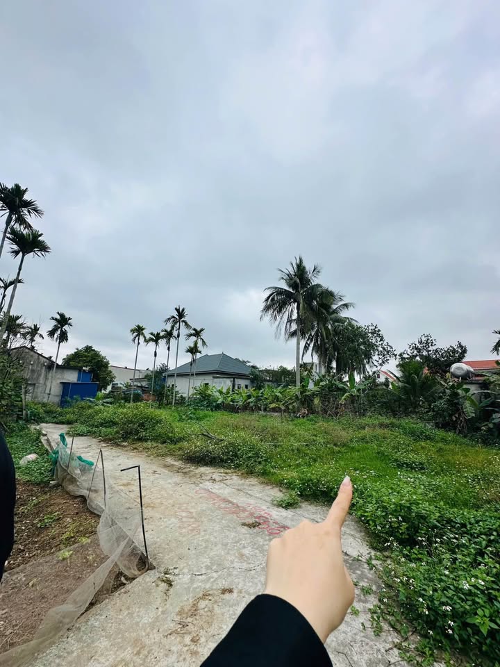 Đất nền Nhất Trí, An Dương 43.3m² - Giá 699 triệu, ô tô đỗ cửa